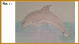 animal compassé maths