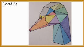animal polygonal maths