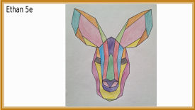 animal polygonal maths