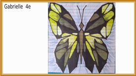 animal polygonal maths