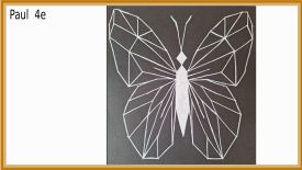 animal polygonal maths