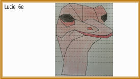 animal polygonal maths