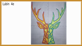 animal polygonal maths