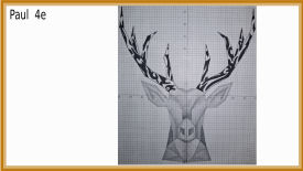 animal polygonal maths