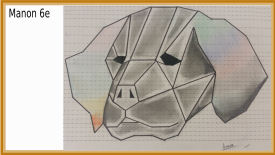 animal polygonal maths