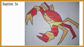 animal polygonal maths