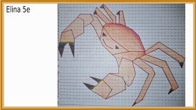 animal polygonal maths