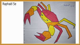 animal polygonal maths