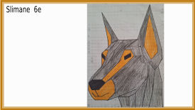 animal compassé maths